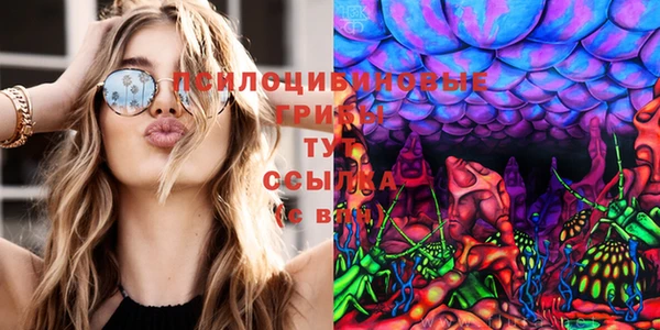 бутират Медногорск