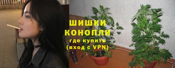 индика Михайловск