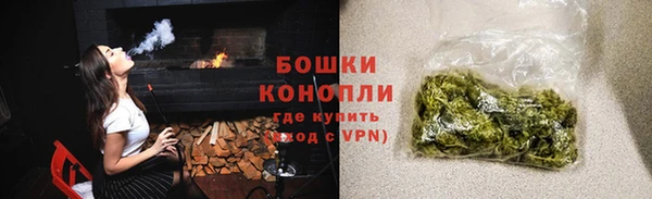 ECSTASY Богородск