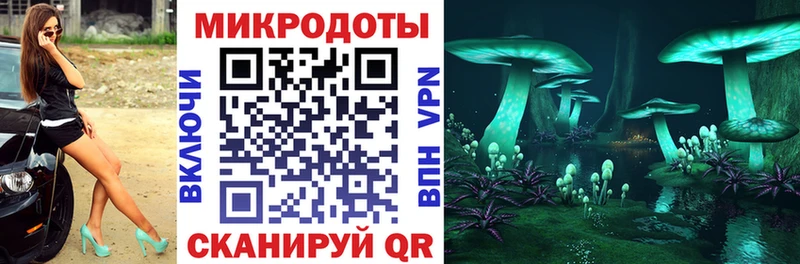 купить закладку  Гатчина  ОМГ ОМГ ссылки  Галлюциногенные грибы мухоморы 