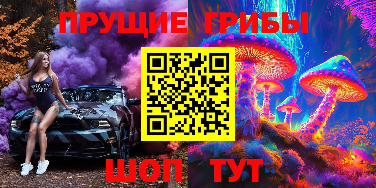 Галлюциногенные грибы GOLDEN TEACHER  Вход с VPN  Гатчина 